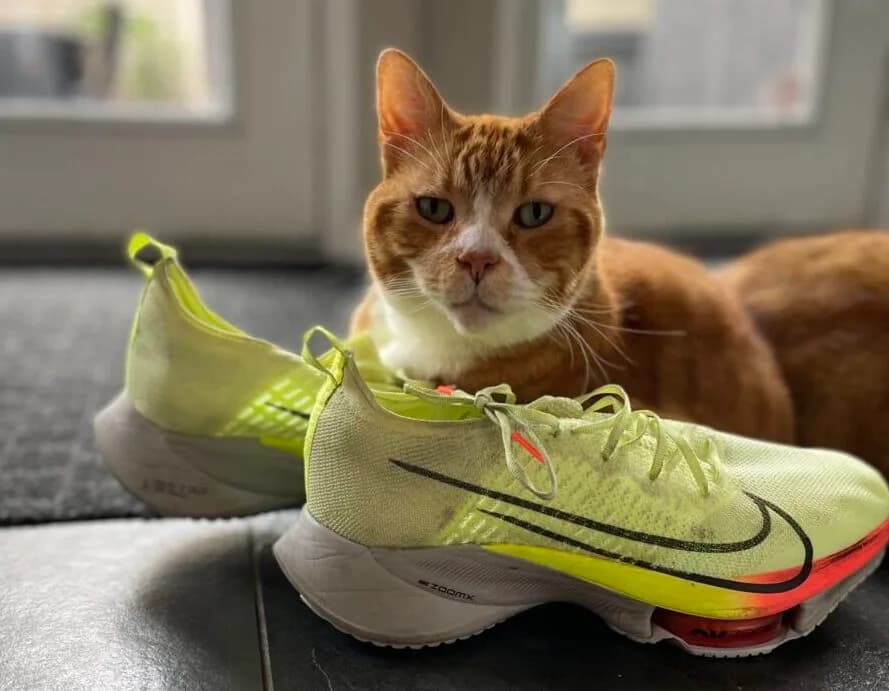 Picking the Right Running Shoe